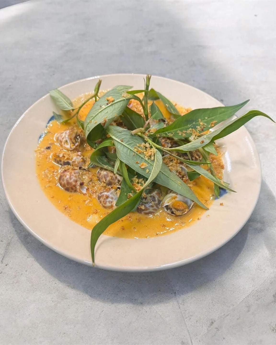 NZ & Tassie Seafood
